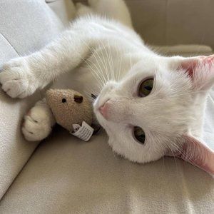 Meet your Posher, Renee